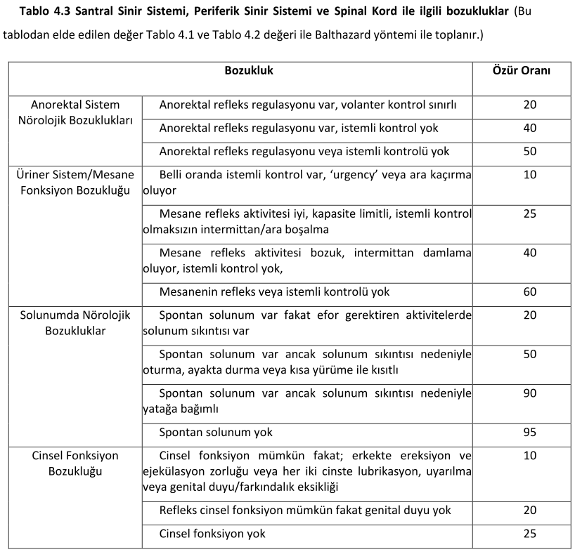 santral_sinir_sistemi_tablo4.3.png