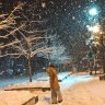 serce_465