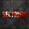 Section8
