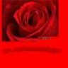 suleyman79